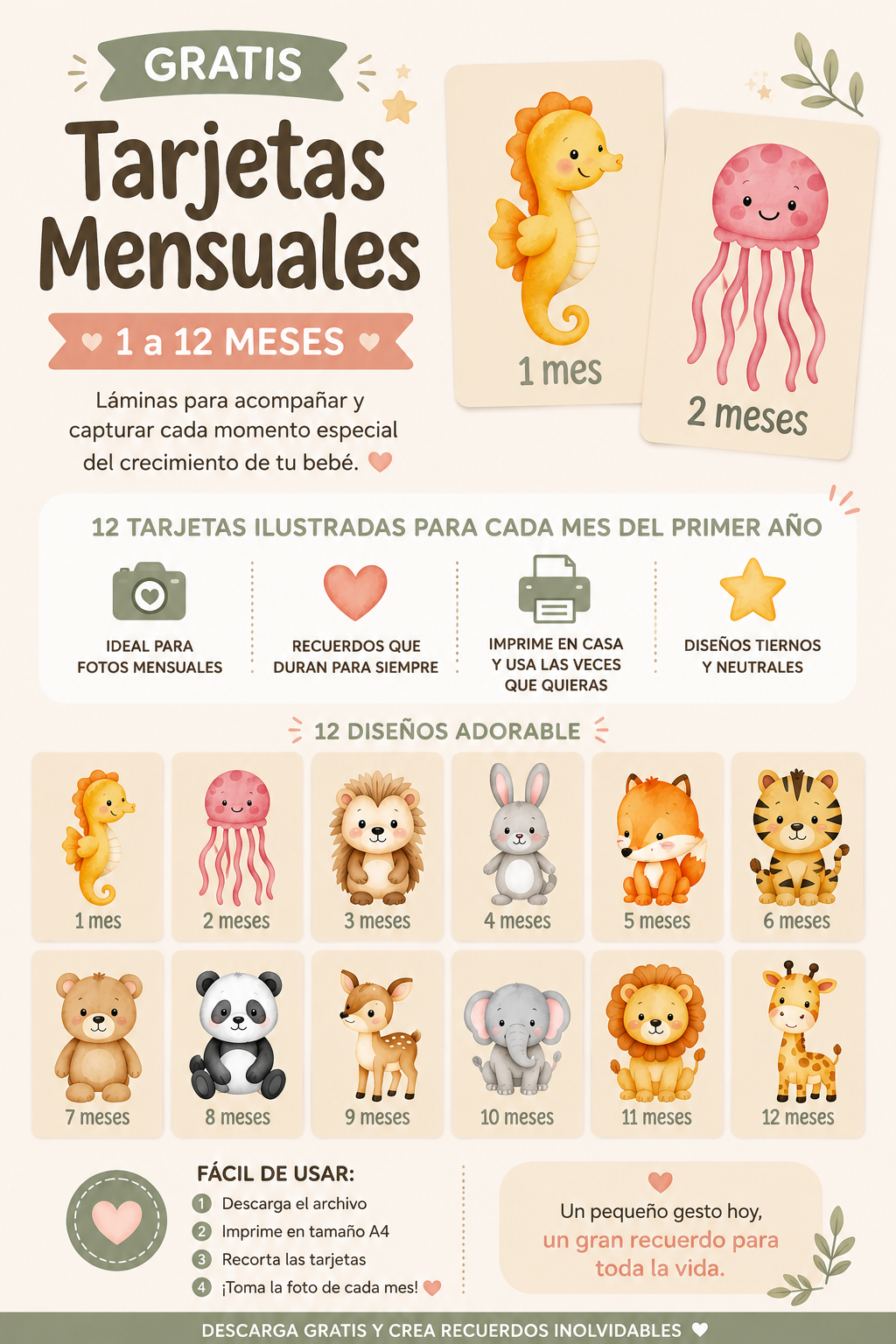 Mi Primer Año | Tarjetas Mensuales para Fotografías del Bebé